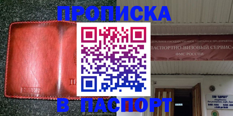 временная прописка в Сальске